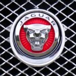 Close-up of Jaguar car emblem on a metallic chrome grille with a red background.